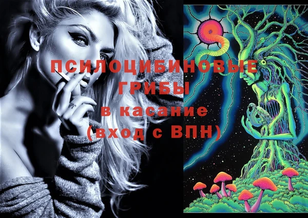 героин Горняк