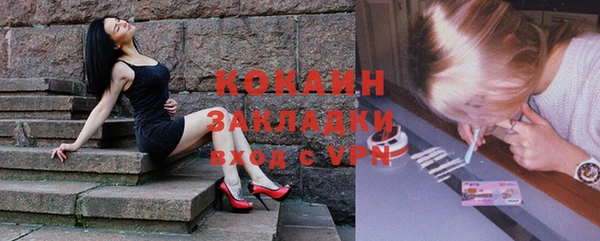 шишки Горнозаводск