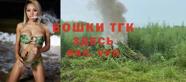 шишки Горнозаводск