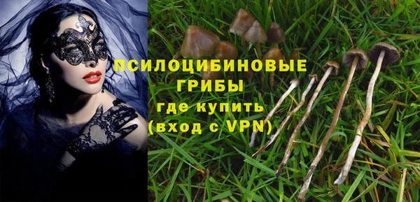 шишки Горнозаводск