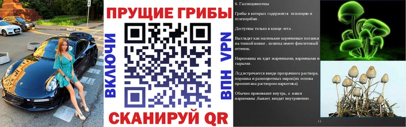 Псилоцибиновые грибы GOLDEN TEACHER  Купить где  Крымск 